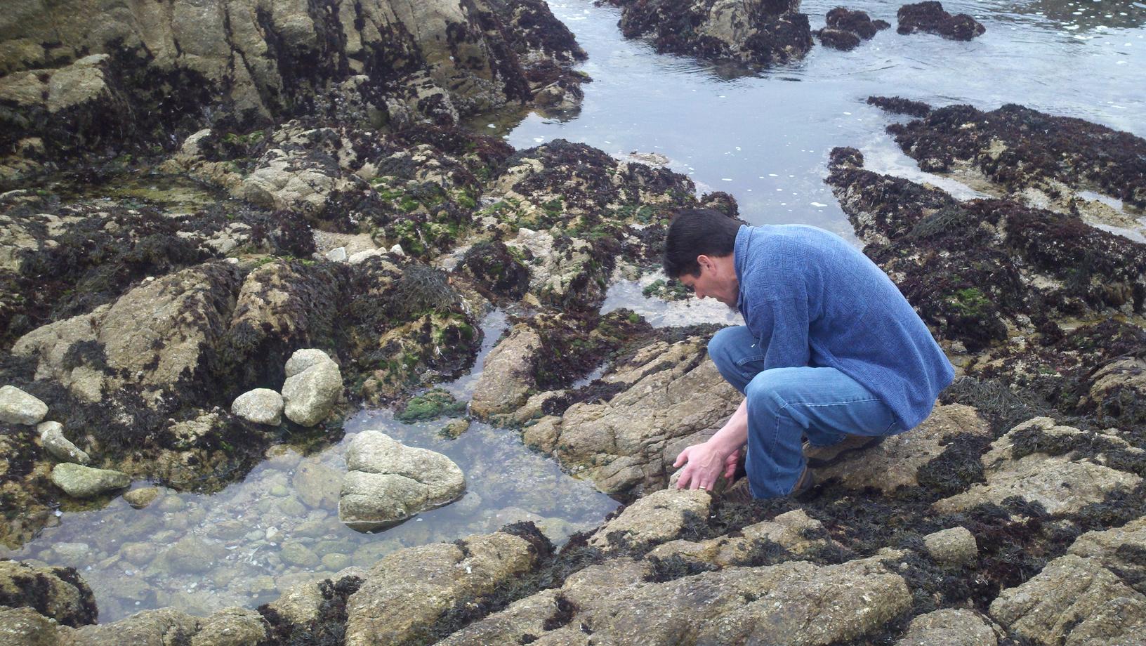 Tide Pooling at Lunch